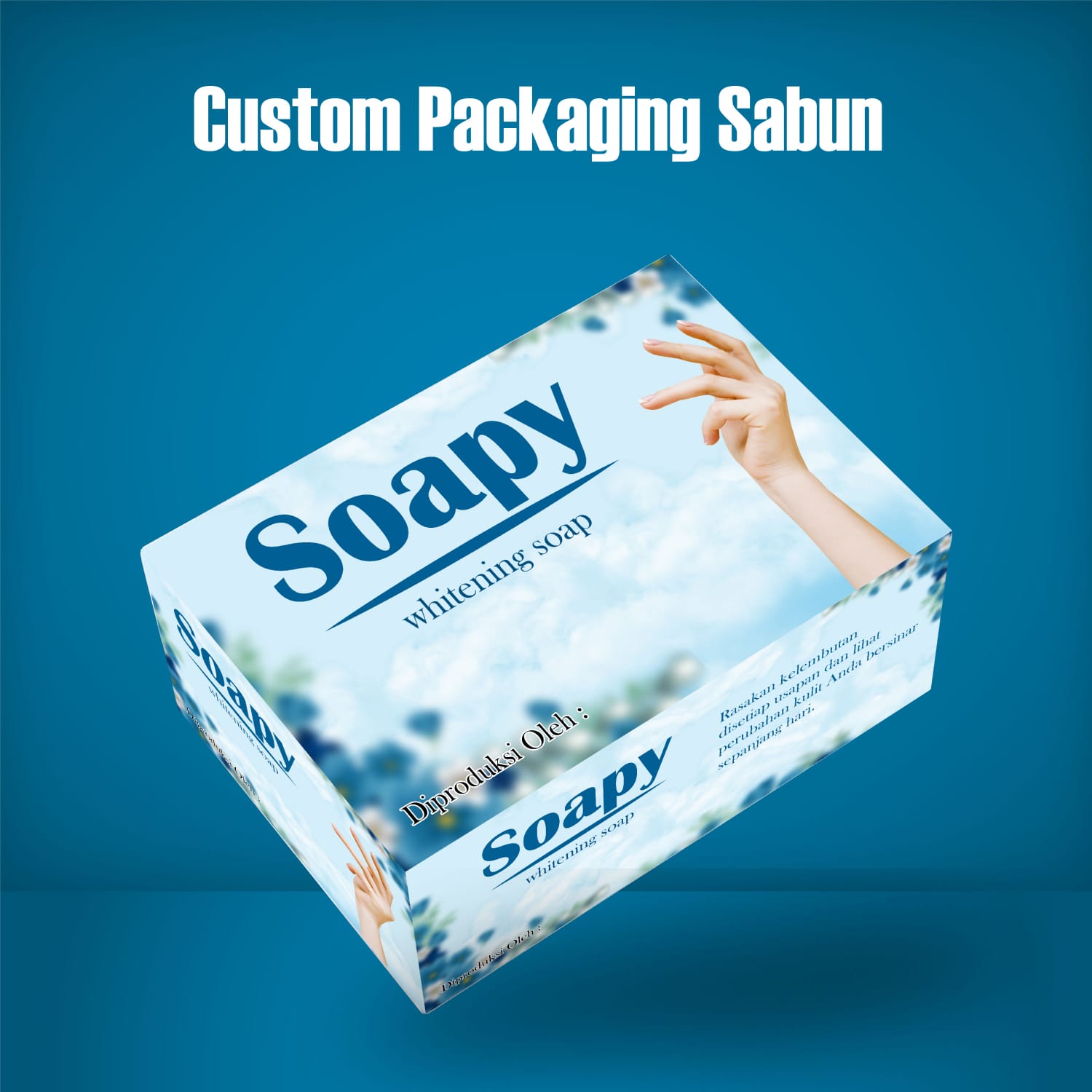 Softbox 3